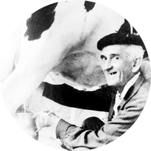 Fernando González ordeñando su vaca paturra