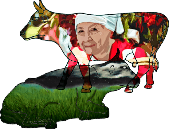 «Nocturna» de Jansel Figueroa y «Medellín» de Laura Muñoz