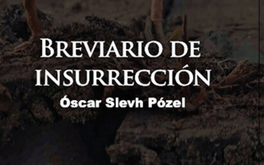 Breviario de insurrección