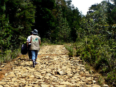 Caminos prehispánicos en el Valle del Aburrá - Fotografía por Tatiana González L.