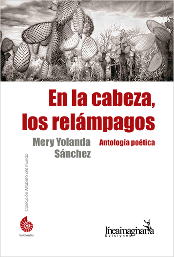 Portada de la antología poética «En la cabeza, los relámpagos» de Mery Yolanda Sánchez
