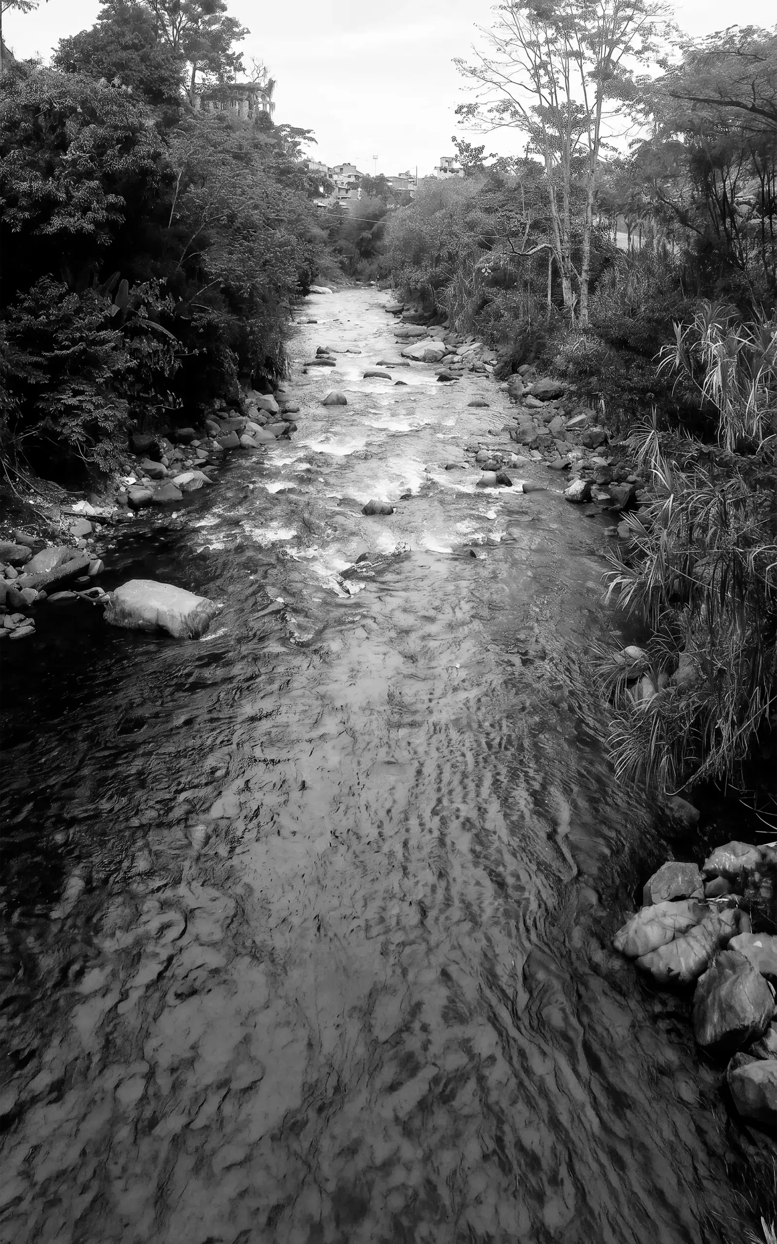 El río San Juan de Andes, de cauce rocoso, entre árboles y casas en las laderas.