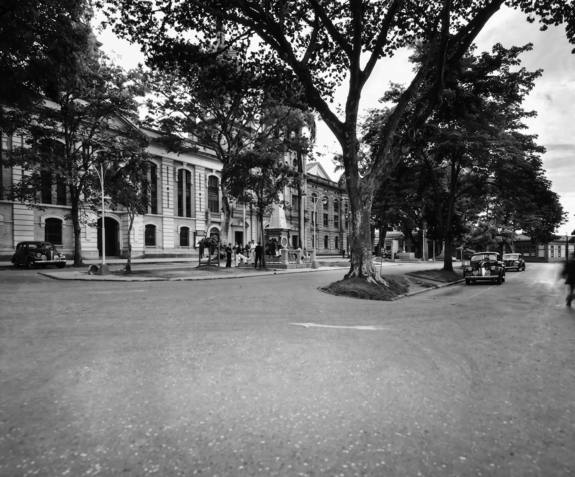 La arbolada plazuela de San Ignacio frente al edificio de fachada clásica del Paraninfo de la Universidad de Antioquia, con un gran árbol en primer término.