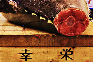Jiro sueña con sushi - David Gelb