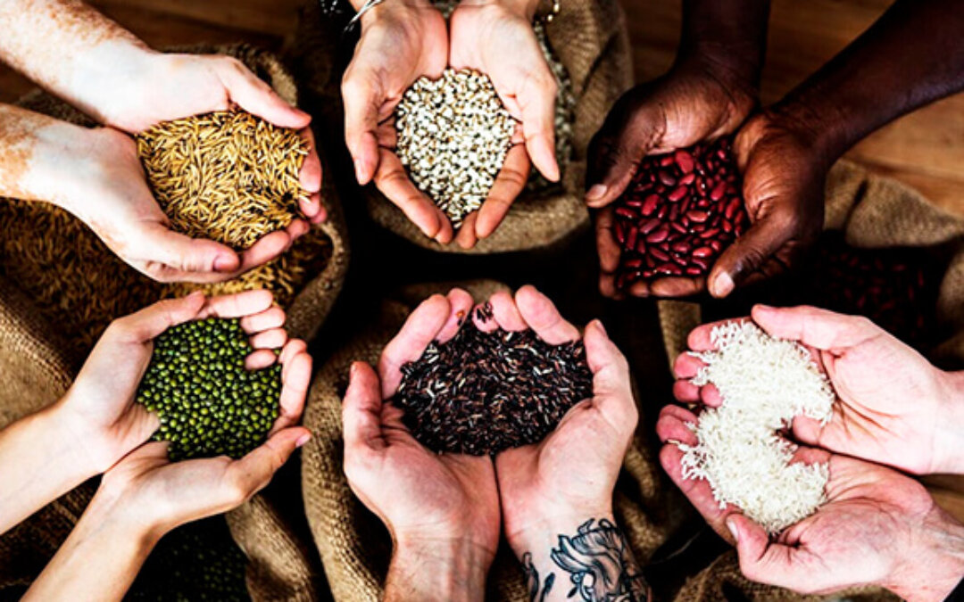 Las mujeres que custodian semillas