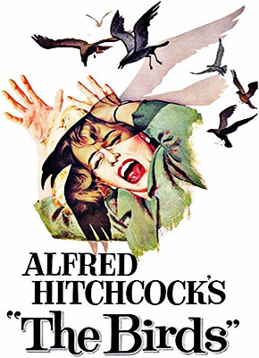 Los pájaros - Alfred Hitchcock