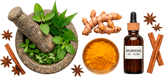 Ilustración de ingredientes de medicina Ayurveda