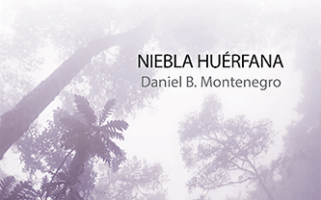 Niebla huérfana