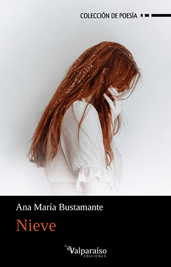 Portada del libro «Nieve» de Ana María Bustamante