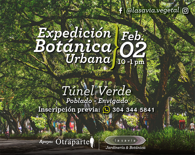 Expedición Botánica Urbana: Túnel Verde