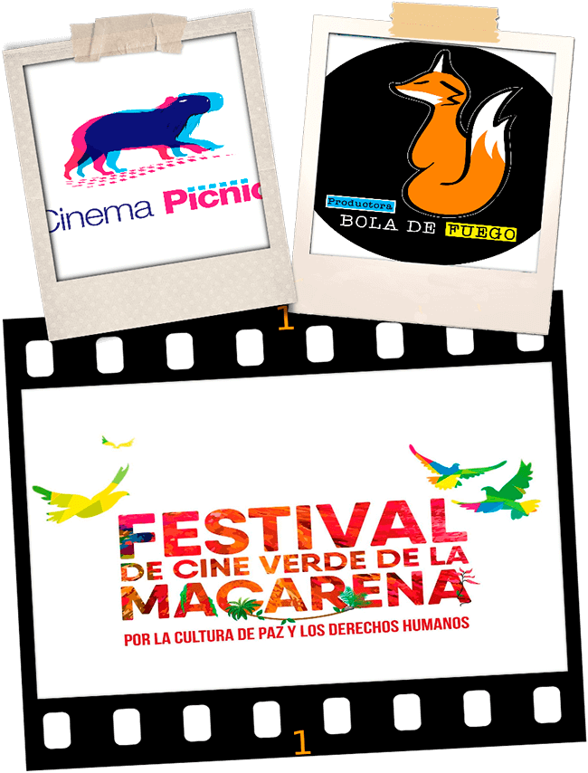 Logos de los proyectos que coordina Yuly Andrea González: Productora Bola de Fuego, Festival de Cine Verde de la Macarena y Cinema Pícnic